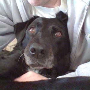 Meet your Posher, Scott